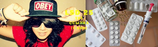 ГАЛЛЮЦИНОГЕННЫЕ ГРИБЫ Арсеньев