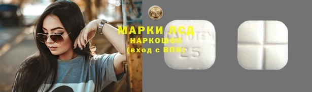ПСИЛОЦИБИНОВЫЕ ГРИБЫ Армянск